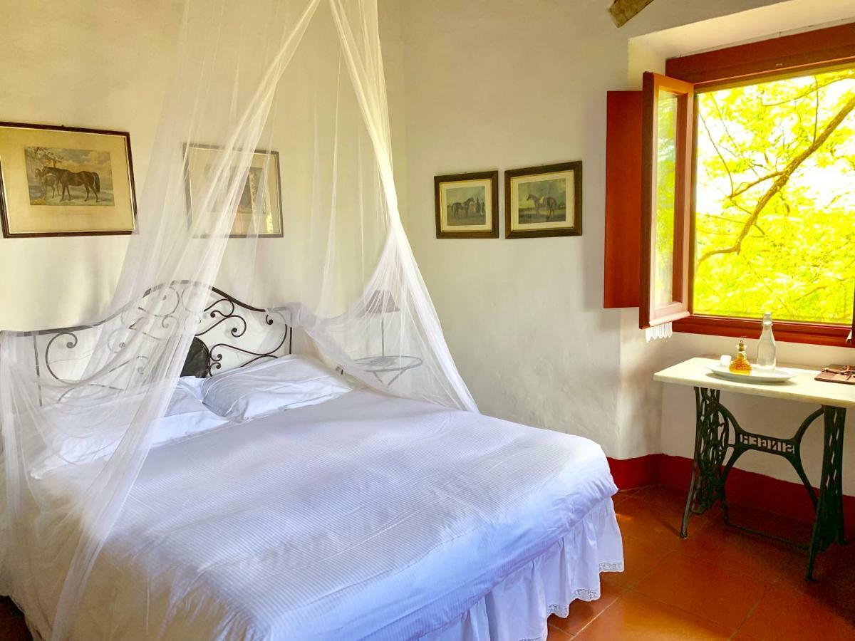 Farmhouse B&B Il Paretaio Barberino Val d'Elsa Ngoại thất bức ảnh